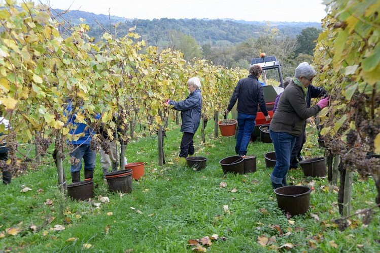 Domaine capdevielle monein 3