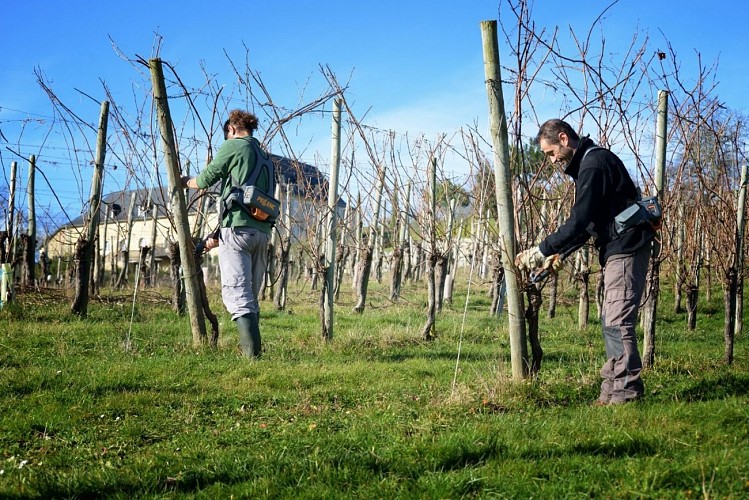 Domaine capdevielle monein 4