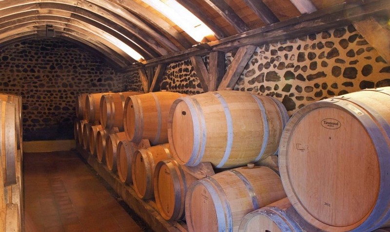 Daumaine cauhapé 2 [HDTV (1080)]