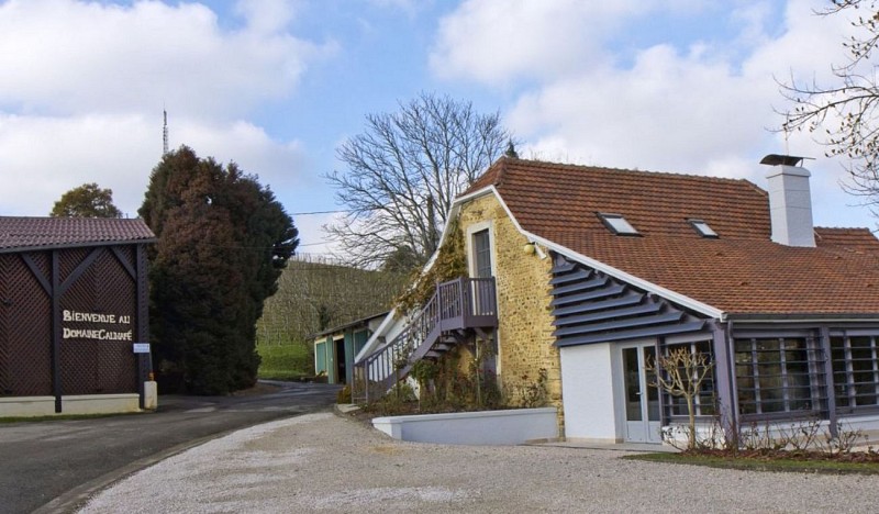 Daumaine cauhapé 5 [HDTV (1080)]