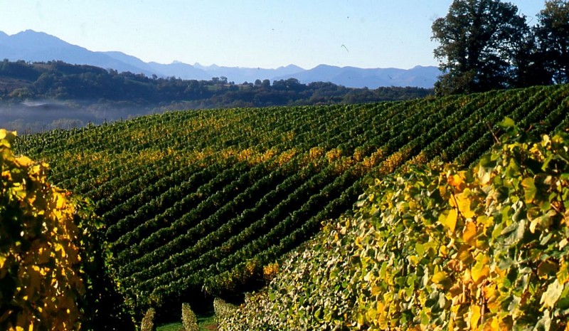 Daumaine cauhapé 6 [HDTV (1080)]