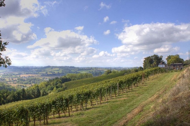 Domaine guirardel 5 [HDTV (1080)]