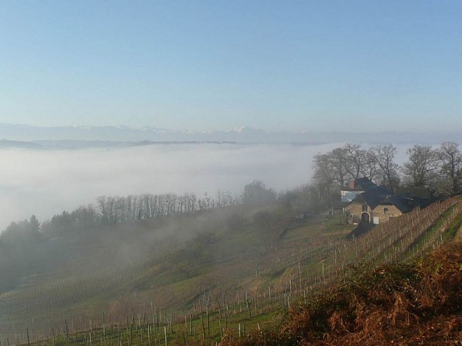 Domaine guirardel 4 [HDTV (1080)]