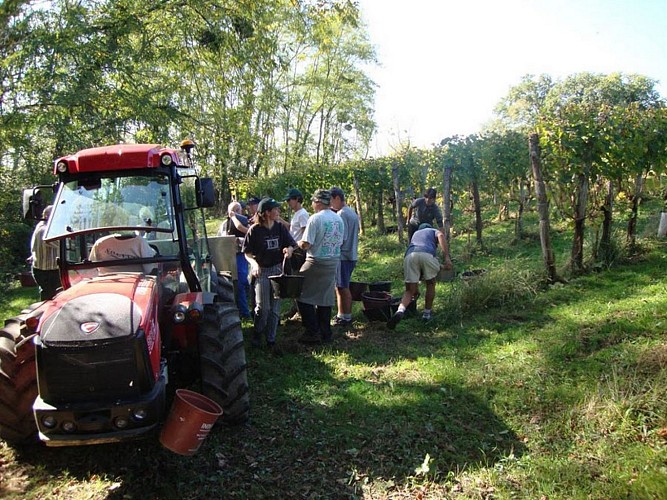 Domaine guirardel 8 [HDTV (1080)]