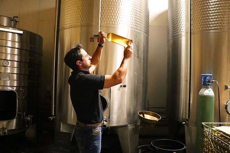 Domaine Montesquiou Fabrication