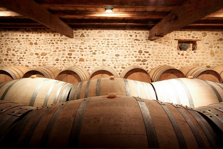 Domaine nigri monein (5)