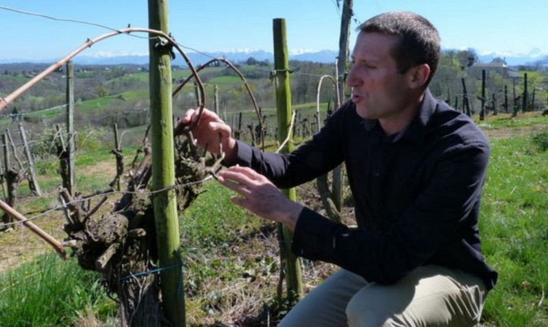 château de Rousse - Chapelle de Rousse - dans les vignes