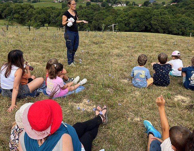 Lait P'tits béarnais - visite pédagogique