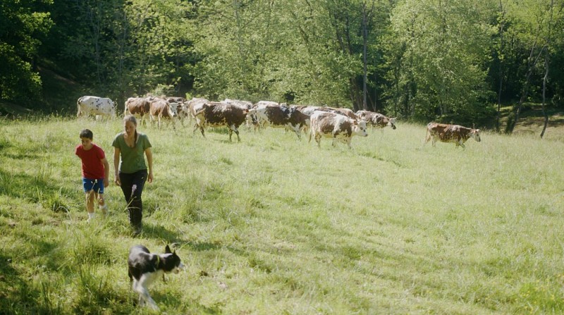 Lait P'tits béarnais1