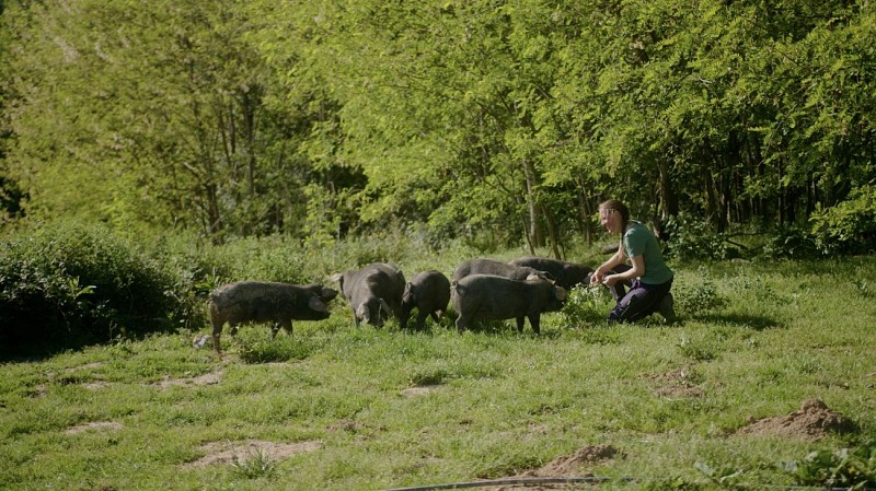 Lait P'tits béarnais