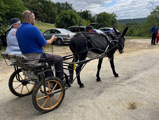 Lait P'tits béarnais