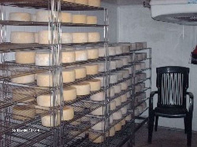 Ferme Luisenea Mocho - fromages