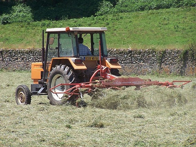 Gaec TAMBOURIN - Fenaison