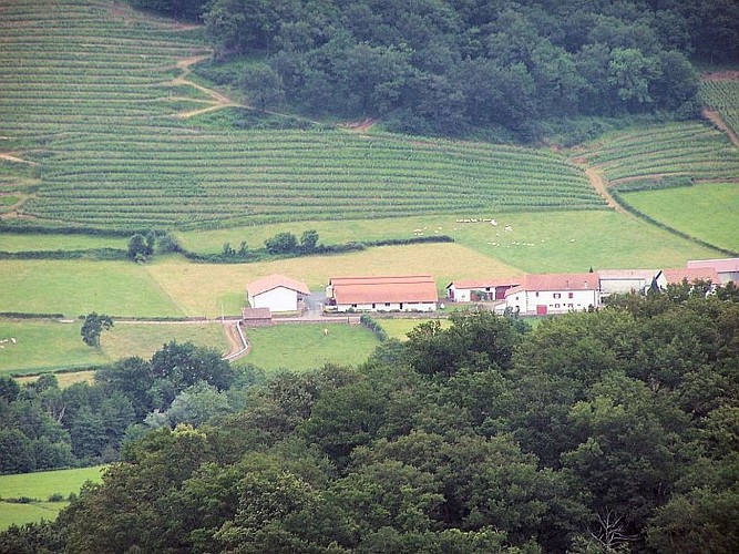 Gaec TAMBOURIN - vue exploitation