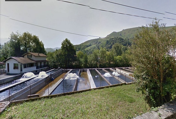 Pisciculture d'Iraty - vue bassins