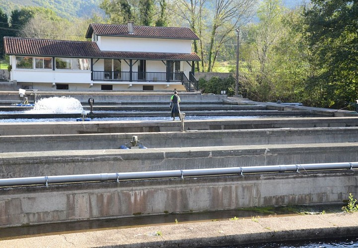 Pisciculture d'Iraty - travail bassins