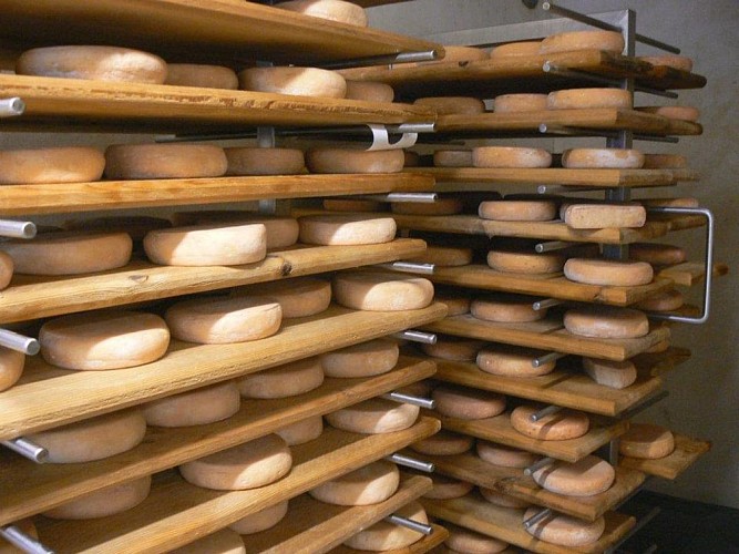 Visite du saloir à fromages
