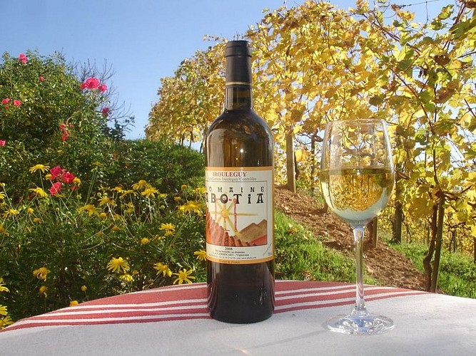 Domaine Abotia - vin blanc - Ispoure