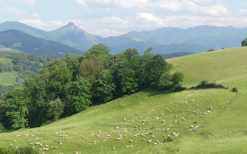 image_6483441 1440x900