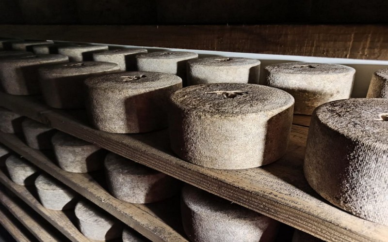 1f3e8627-557b-479b-91f4-d04023556175 1440x900