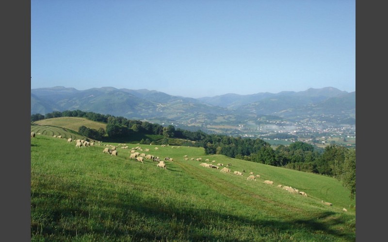 photosBorde004 1440x900