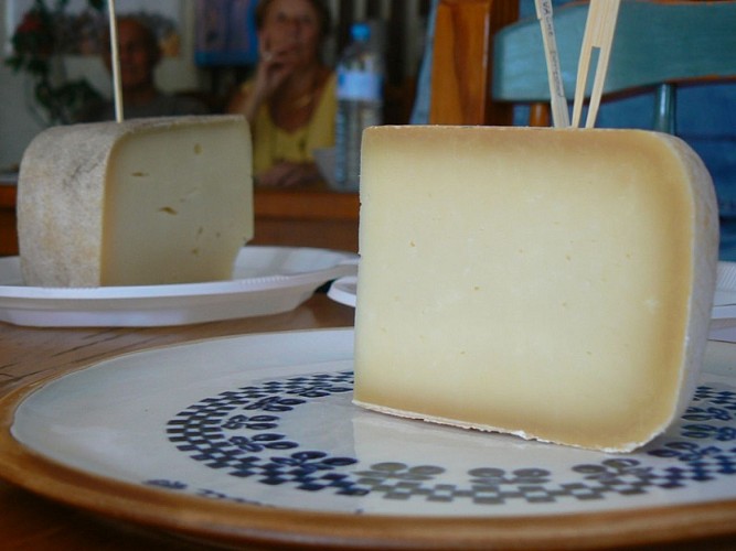 Fromages Puyaubreau