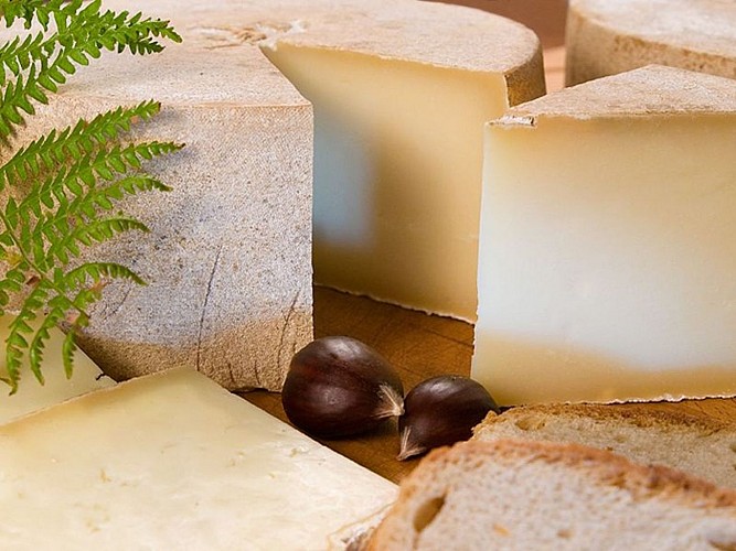 Ferme Ekiola - fromage coupe