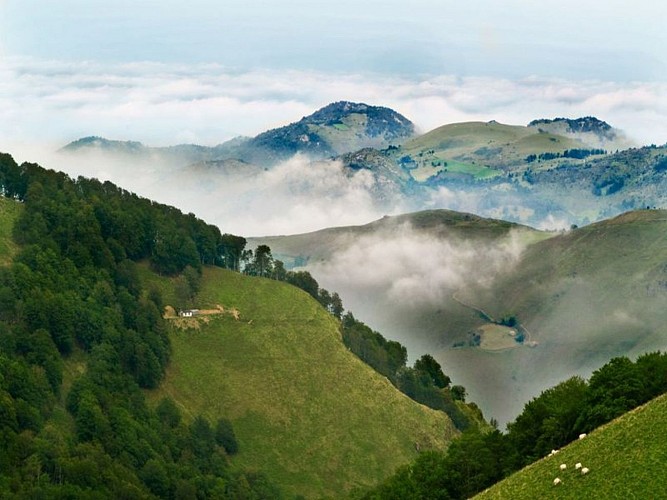 Ferme Ekiola - vue montagnes
