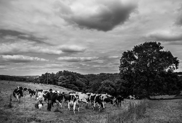FERME DE PEYRECOR 4 (Sébastien ARNOUTS)