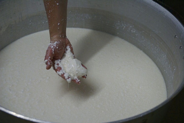 EARL Payssas - Maurin Olivier (4)