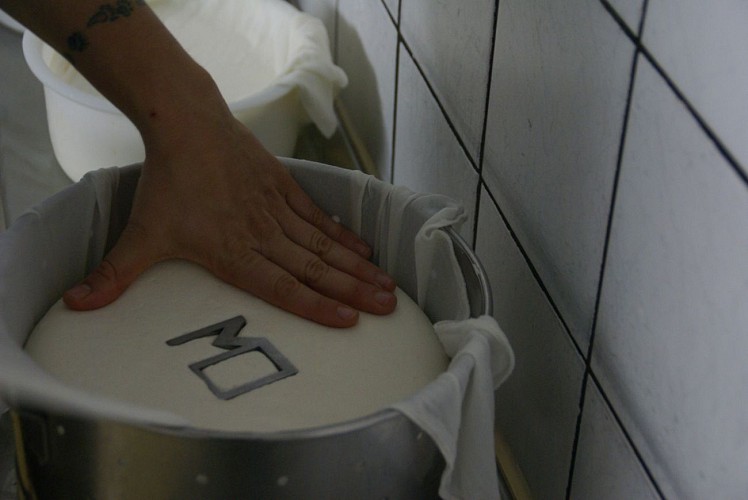 EARL Payssas - Maurin Olivier (9)