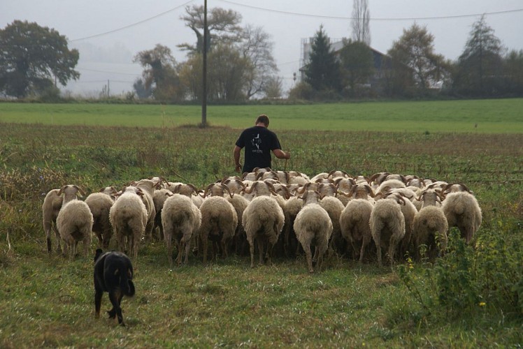 EARL Payssas - Maurin Olivier (7)