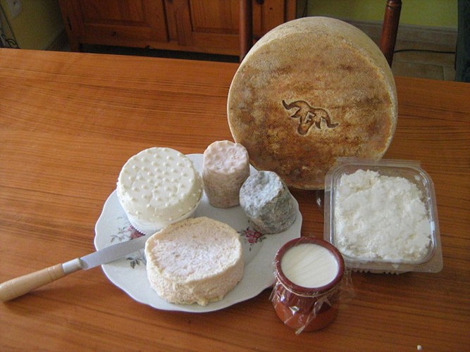 Ferme Bacquet - Orègue (5)