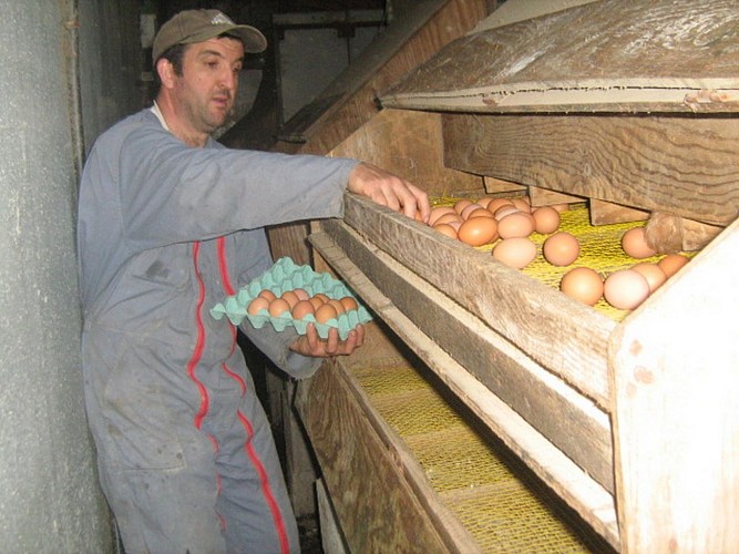 Ferme Bacquet - Orègue (11)
