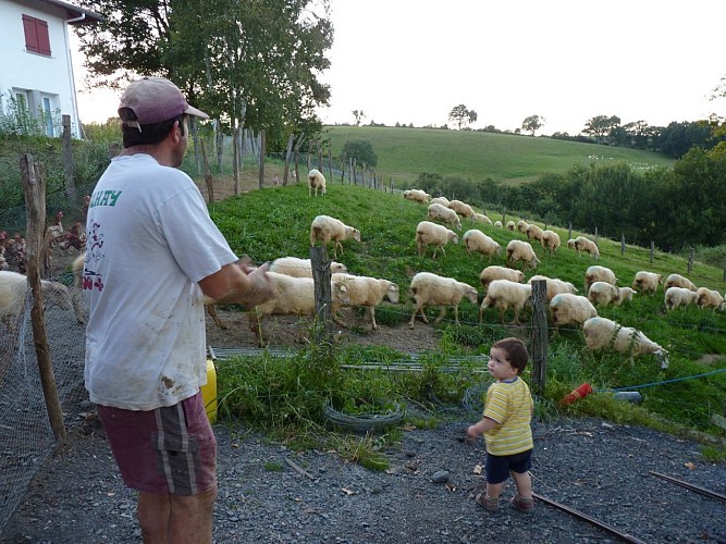 Ferme Bacquet - Orègue (13)