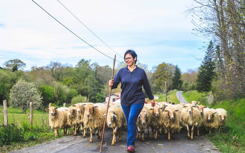 Laiterie Bastidarra- Eki Ibaski (12)