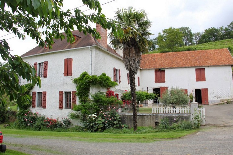 Clos mazange jurancon monein (2)