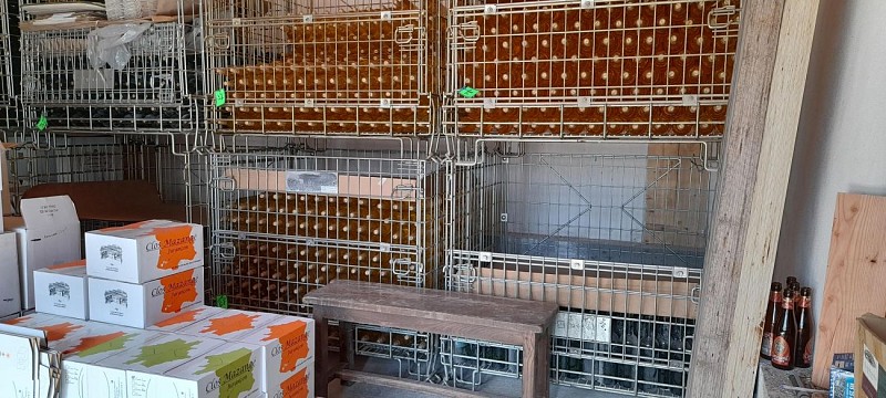 Clos mazange jurancon monein (7)