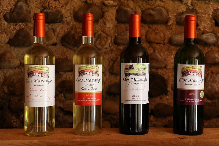 Clos mazange jurancon monein (4)