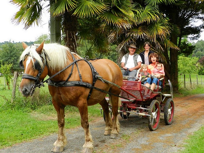 Clos mazange jurancon monein (1)