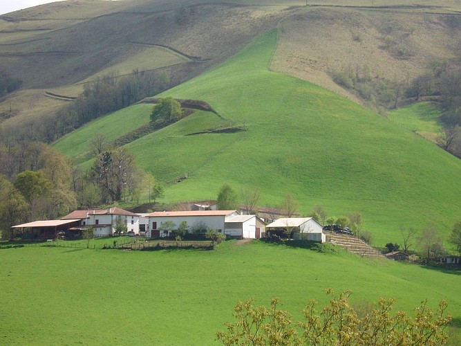 Producteur de fromage Ferme Etxepareborda - vue exploitation