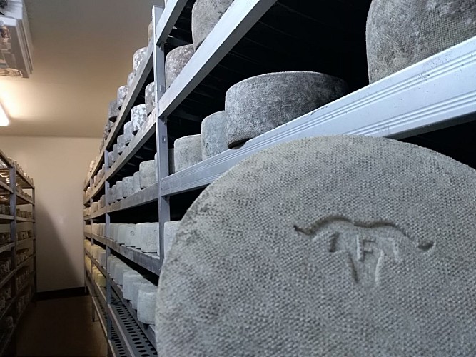 Ferme-Etchepareborda--1-