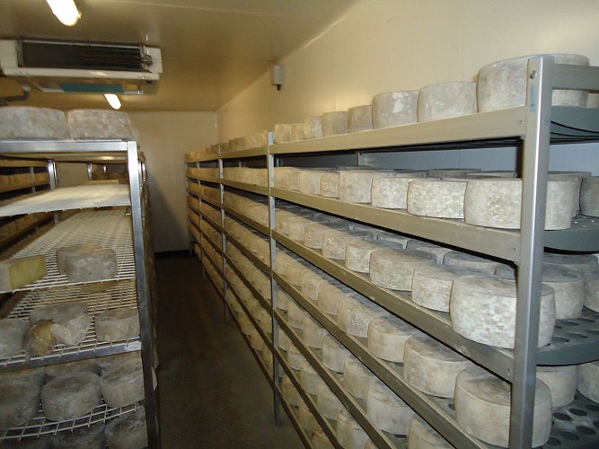 Producteur de fromage Ferme Etxepareborda - fromages