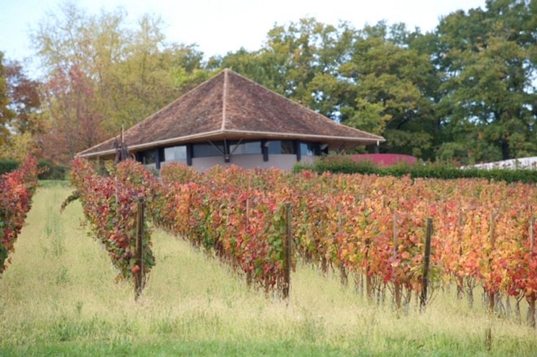Domaine Mont Oraàs 1440x900
