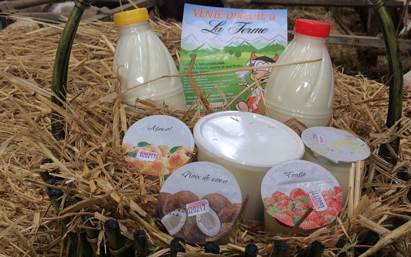 2017 - ferme - vaches - lait - EARLMonguilhet - 1-ok