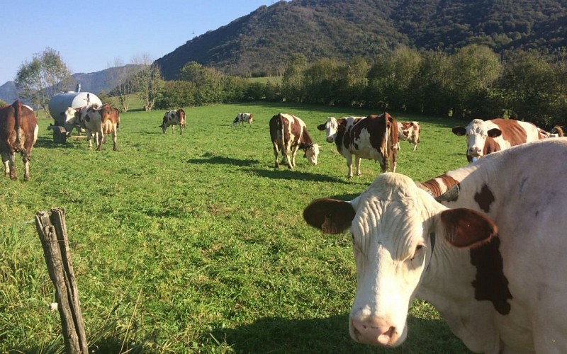 Ferme-MartyDebat - Mme-Monguilhet - 1-ok