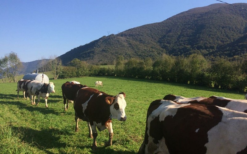 Ferme-MartyDebat - Mme-Monguilhet - 2-ok