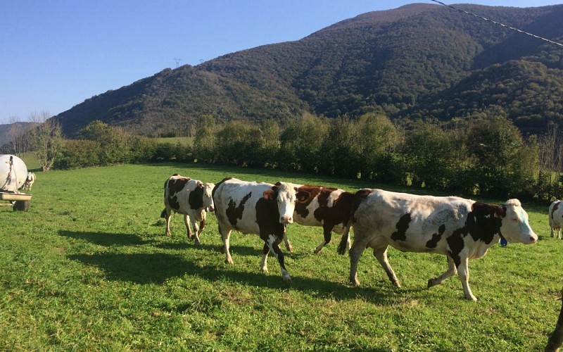 Ferme-MartyDebat - Mme-Monguilhet - 3-ok