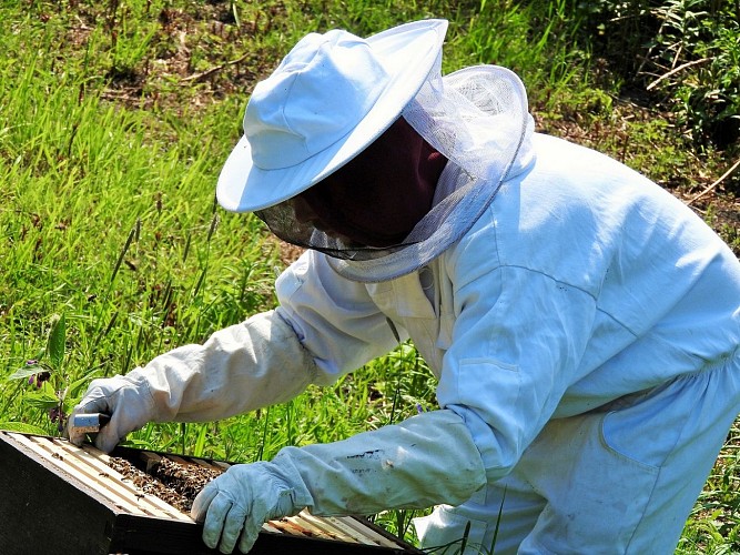 beekeeper-2704962-1920
