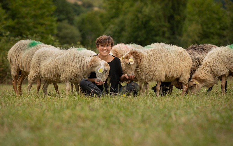ferme_arrokain_soule_pays_basque